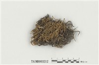 藏品(砂苔屬)的圖片